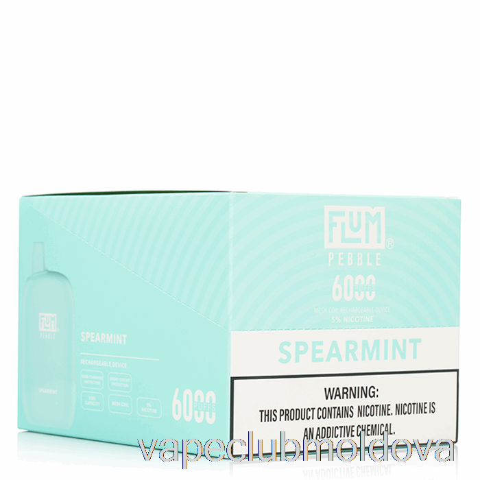 Vape Mod [10-pachet] Flum Pebble 6000 De Unică Folosință